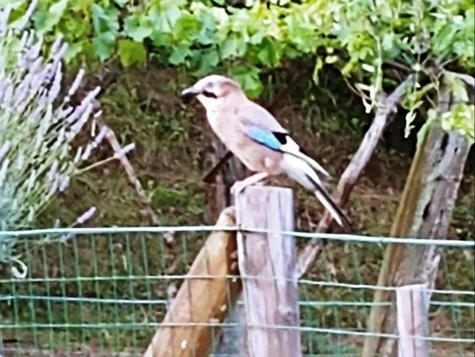 Agricamping Ponteraggio N.1 *