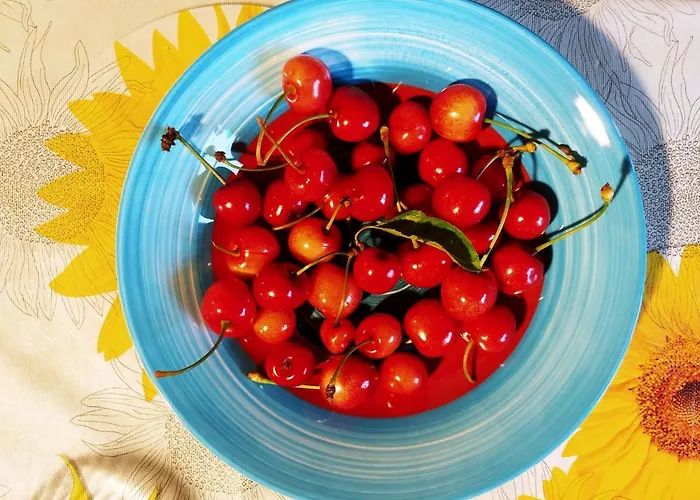 Agricamping Ponteraggio N.1 Dolceacqua
