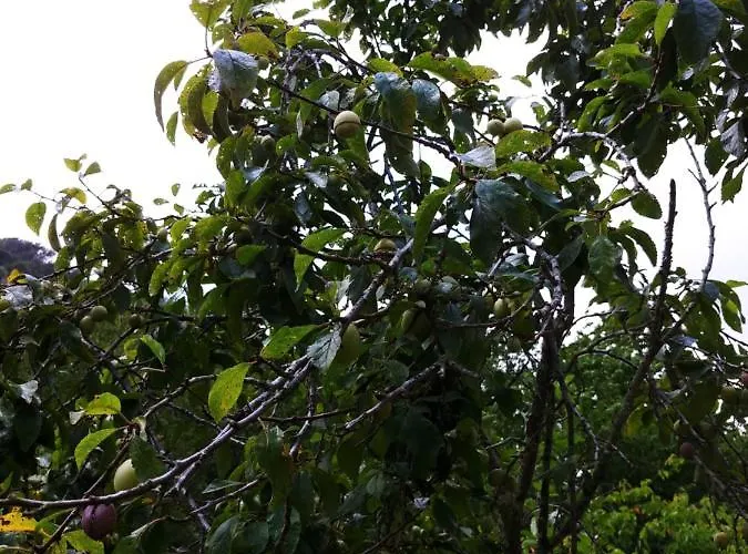 Agricamping Ponteraggio N.1 Kemp *