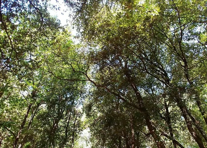 Kemp Agricamping Ponteraggio N.1 *