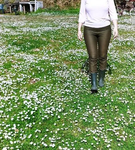 Kemp Agricamping Ponteraggio N.1 Dolceacqua