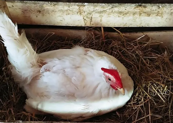 Agricamping Ponteraggio N.1 *