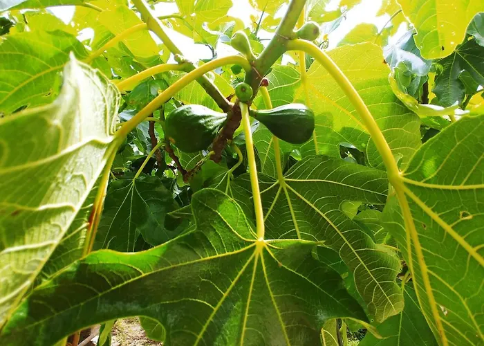 Agricamping Ponteraggio N.1