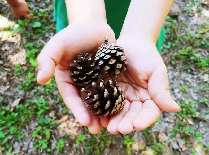 Kemp Agricamping Ponteraggio N.1