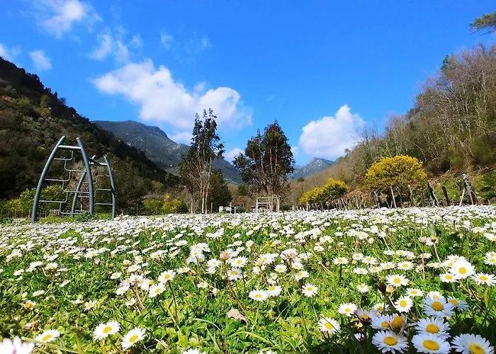 Kemp Agricamping Ponteraggio N.1 *