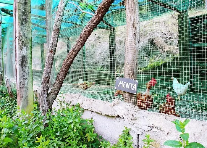 Agricamping Ponteraggio N.1 * Dolceacqua