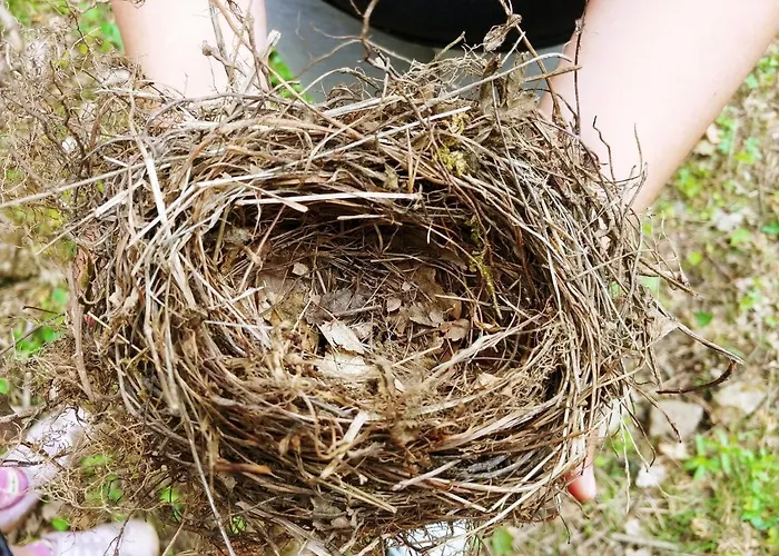 Agricamping Ponteraggio N.1 *