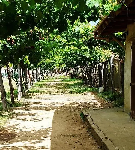 Agricamping Ponteraggio N.1 Kemp Dolceacqua