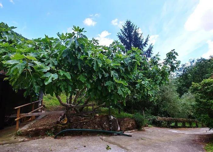 Agricamping Ponteraggio N.1