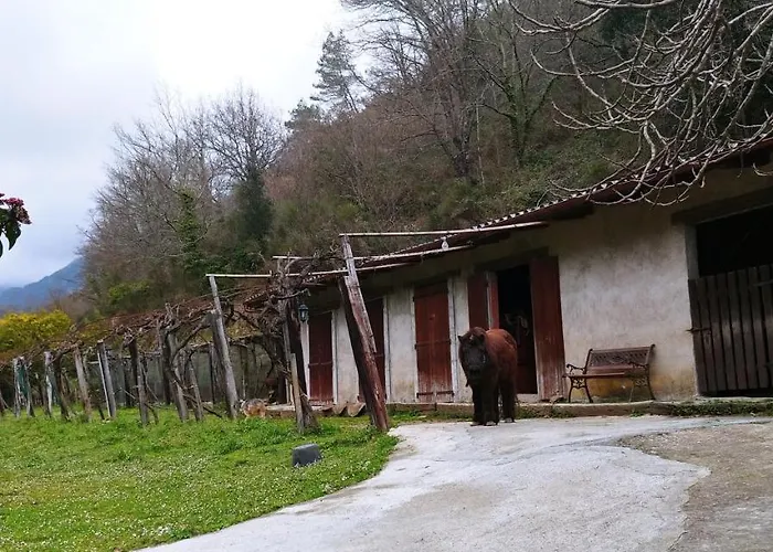 Agricamping Ponteraggio N.1 Dolceacqua