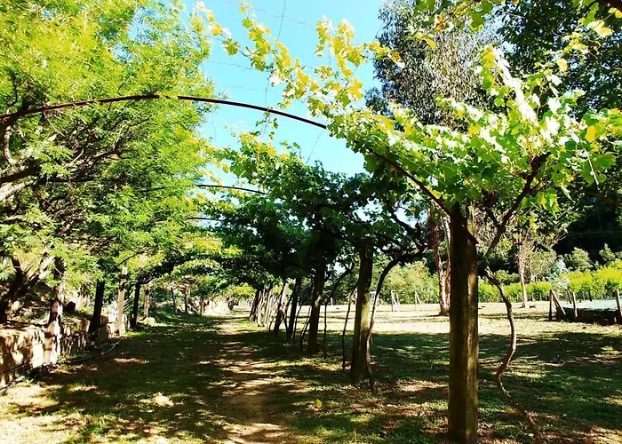 Agricamping Ponteraggio N.1 Camping Dolceacqua