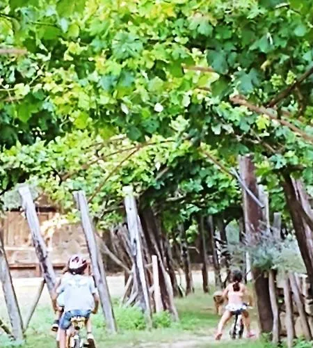 Agricamping Ponteraggio N.1 Kemp *