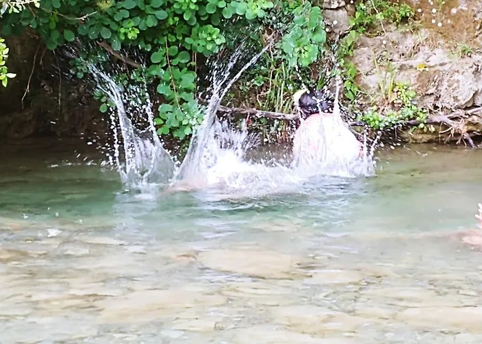 Agricamping Ponteraggio N.1 Kemp *