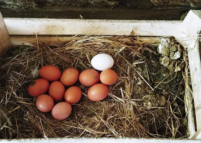 Agricamping Ponteraggio N.1 Kemp *