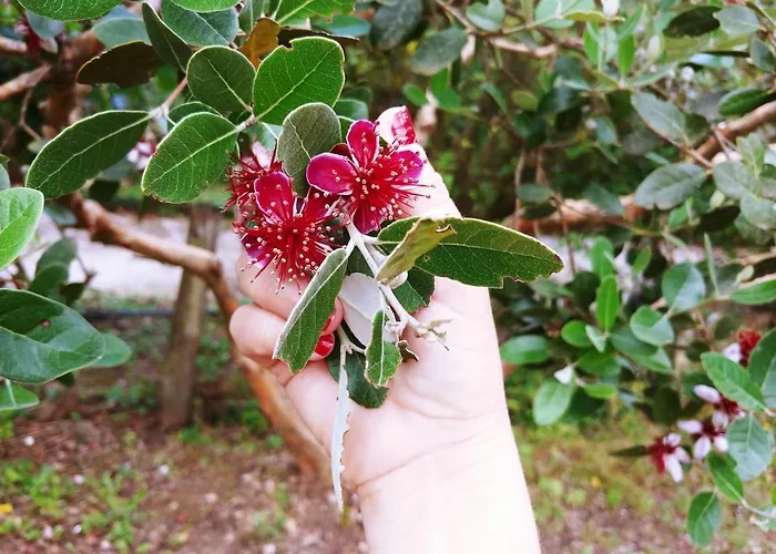 Agricamping Ponteraggio N.1 *