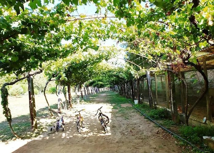 Agricamping Ponteraggio N.1 * Dolceacqua