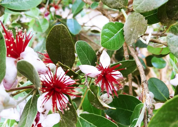 Agricamping Ponteraggio N.1 Kemp