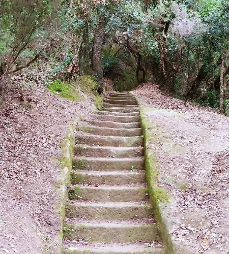 Agricamping Ponteraggio N.1