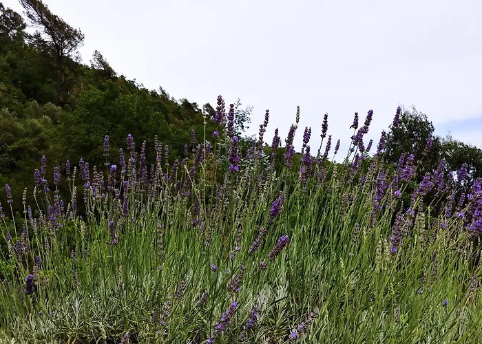 Kemp Agricamping Ponteraggio N.1