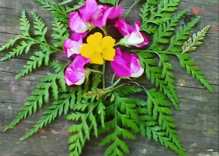 Agricamping Ponteraggio N.1 * Dolceacqua