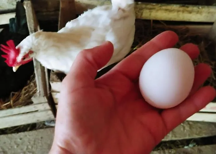 Agricamping Ponteraggio N.1 Kemp