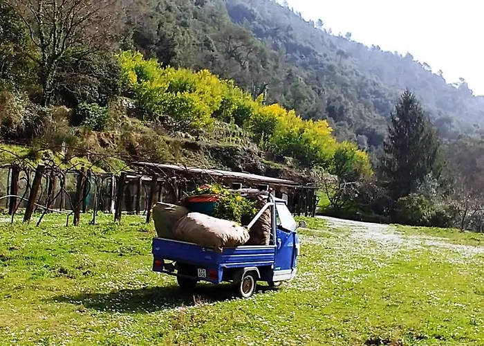 Agricamping Ponteraggio N.1 Dolceacqua
