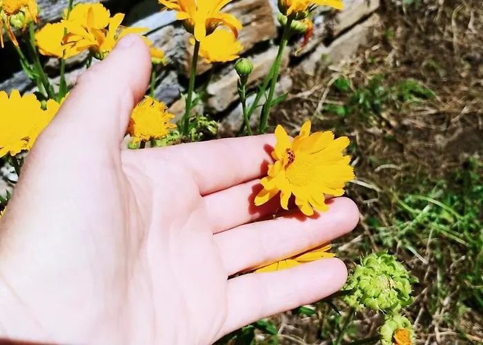 Agricamping Ponteraggio N.1 Kemp *