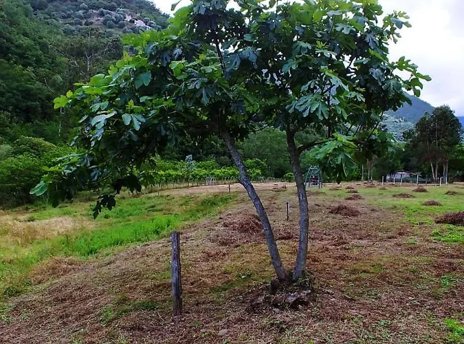 Agricamping Ponteraggio N.1 Dolceacqua