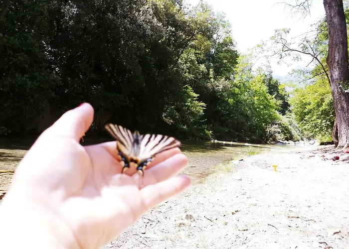 Kemp Agricamping Ponteraggio N.1 Dolceacqua