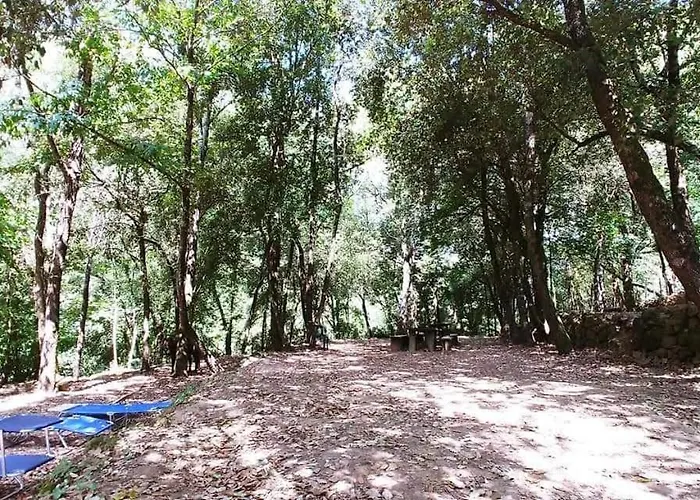 Agricamping Ponteraggio N.1 Dolceacqua