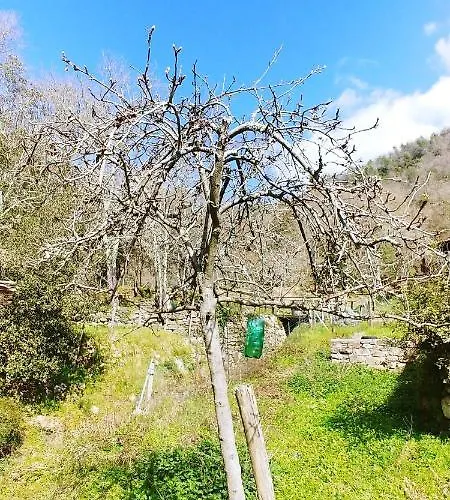 Agricamping Ponteraggio N.1 *