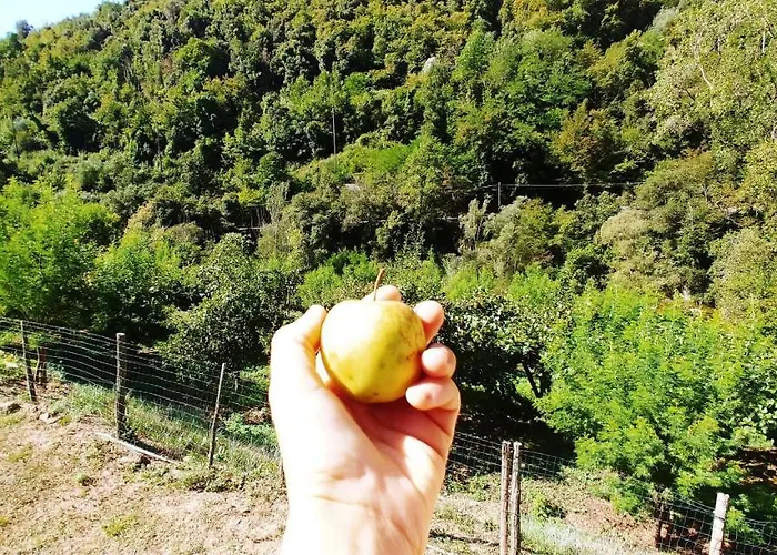 Kemp Agricamping Ponteraggio N.1